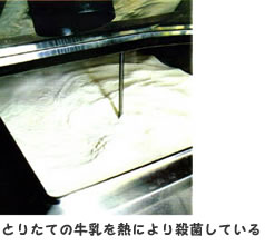 とりたての牛乳を熱により殺菌している とりたての牛乳を熱により殺菌している