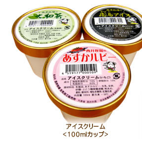 �A�C�X�N���[����100ml�J�b�v��